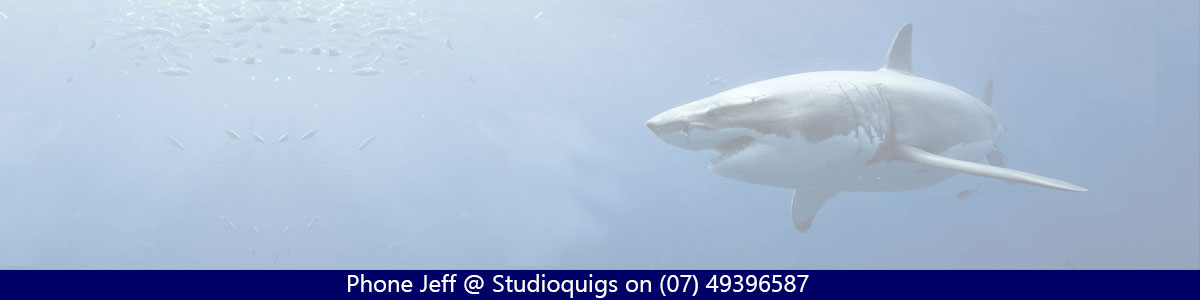 Studioquigs web design capricorn coast with Jeff Quigley